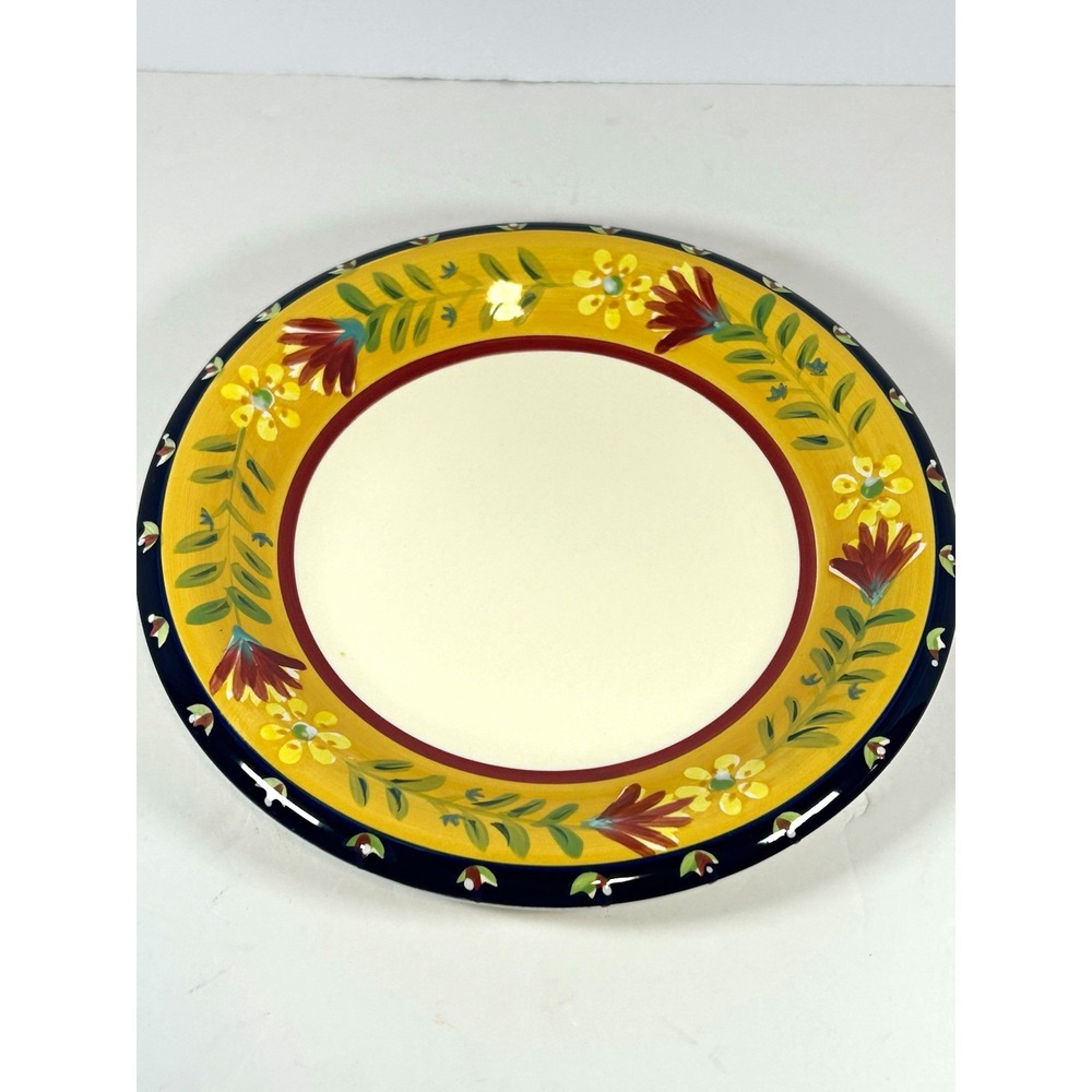Pier 1 Imports Doneva Dinner Plate Earthenware Painted 10in Floral Multicolor